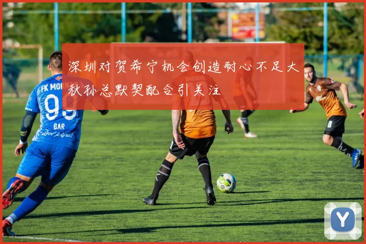 深圳对贺希宁机会创造耐心不足大秋孙总默契配合引关注