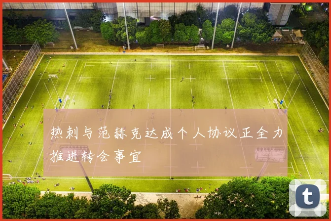 热刺与范赫克达成个人协议正全力推进转会事宜